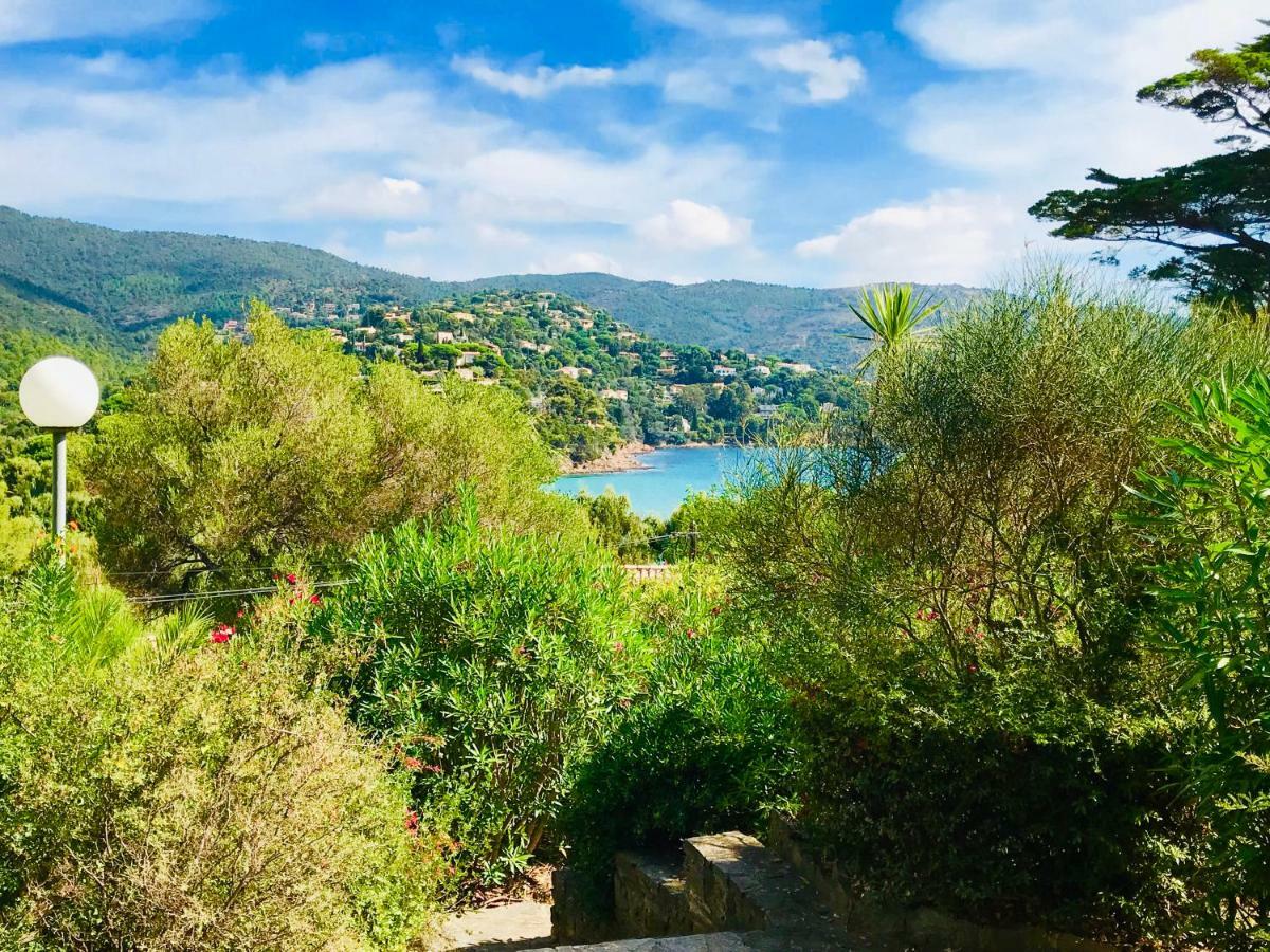 Mazet « Domaine De La Pinede » Apartamento Le Lavandou Exterior foto