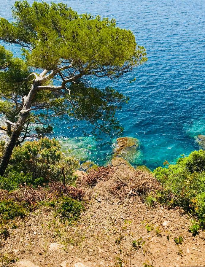 Mazet « Domaine De La Pinede » Apartamento Le Lavandou Exterior foto