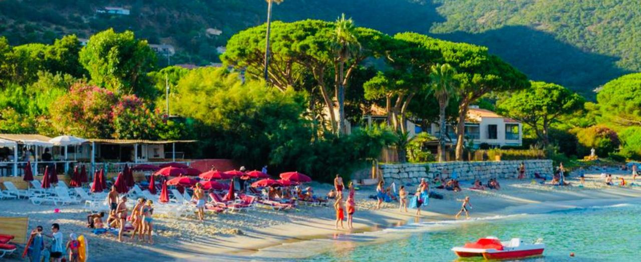 Mazet « Domaine De La Pinede » Apartamento Le Lavandou Exterior foto